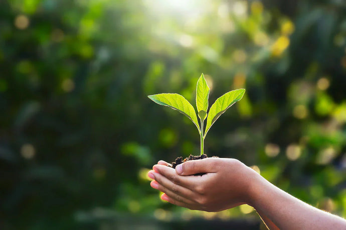 Our 5 Favourite Earth Day Activities for Kids
