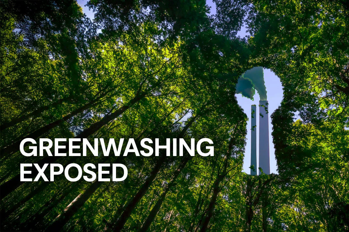Greenwashing Exposed: How Companies Exaggerate Their Sustainability