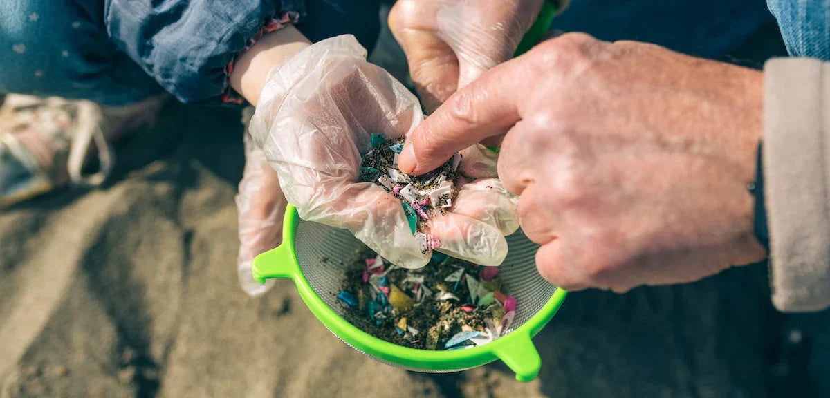 How Microplastics Impact the Environment