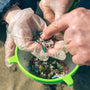 How Microplastics Impact the Environment